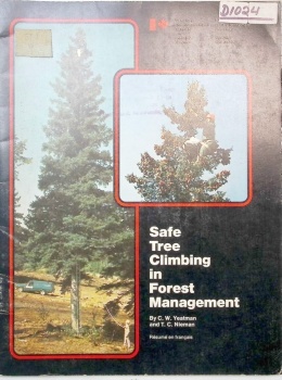 Safe Tree Climbing in Forest Management
