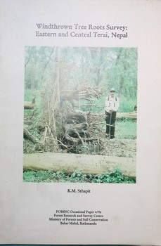 Windthrown Tree Roots Survey Eastern Central Terai Nepal